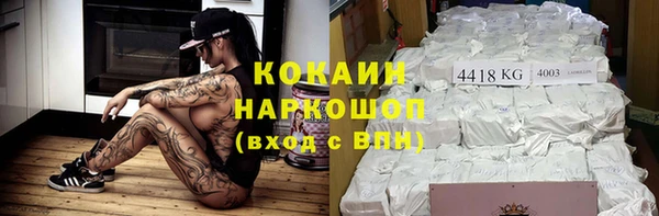 крисы Алзамай
