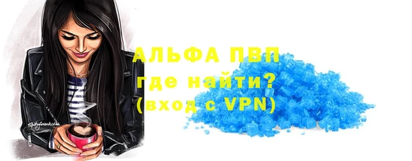 крисы Алзамай