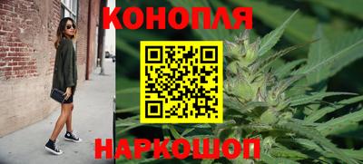 эйфоретик Гай