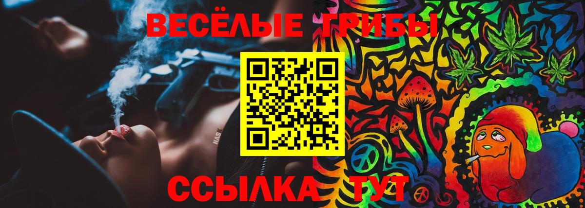 Кропоткин  Галлюциногенные грибы прущие грибы  Вход с VPN 